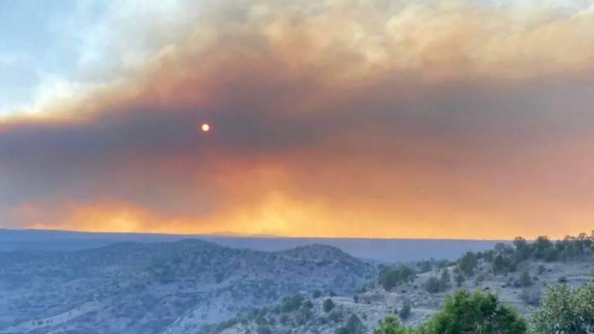 incendio forestal en madera (2)